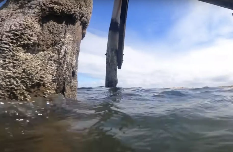Homem é aconselhado a chamar as autoridades após GoPro fazer descoberta perturbadora ao cair no oceano Ele estava curioso para ver o que havia sob a superfície (YouTube/Dusty Sands)