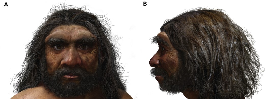 Reconstituição do Homo longi.