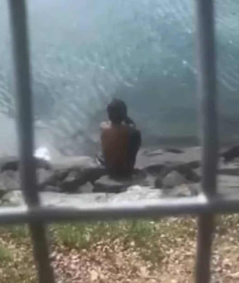 Menino de 1 ano foi devorado por crocodilo na frente do pai após ser arrancado de canoa de pesca O pai estava pescando à beira da água quando seu filho de um ano foi atacado por um crocodilo (Viral Press)