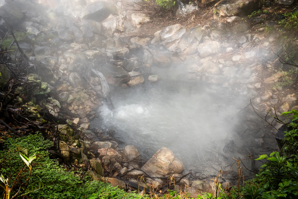 Dióxido de carbono sendo liberado pelo calor do magma na Costa Rica, aquecendo água e deixando a vegetação mais verde (Imagem: Alessandra Baltodano/Chapman University)