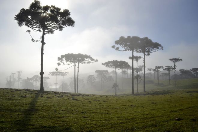 Névoa em região serrana