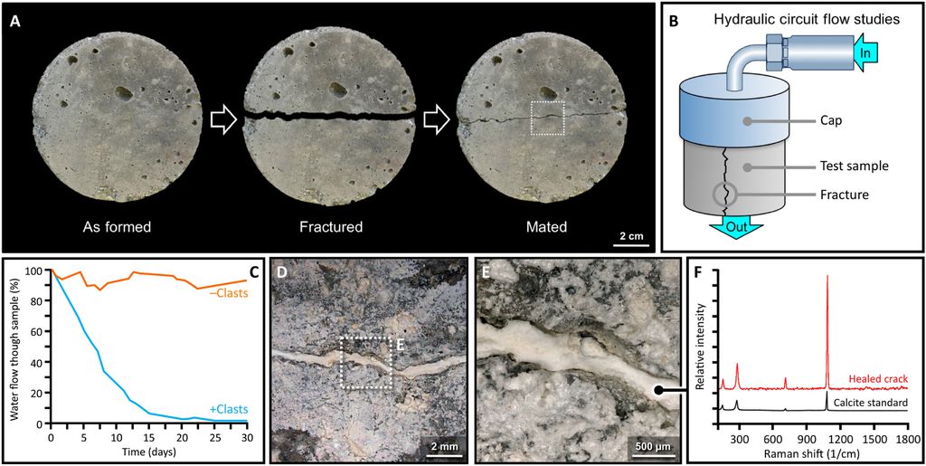 Uma pesquisa de 2023 reproduziu receitas que se acreditava serem usadas para fazer o concreto romano, revelando as propriedades regenerativas do material (Imagem: Seymour et al./Science Advances)
