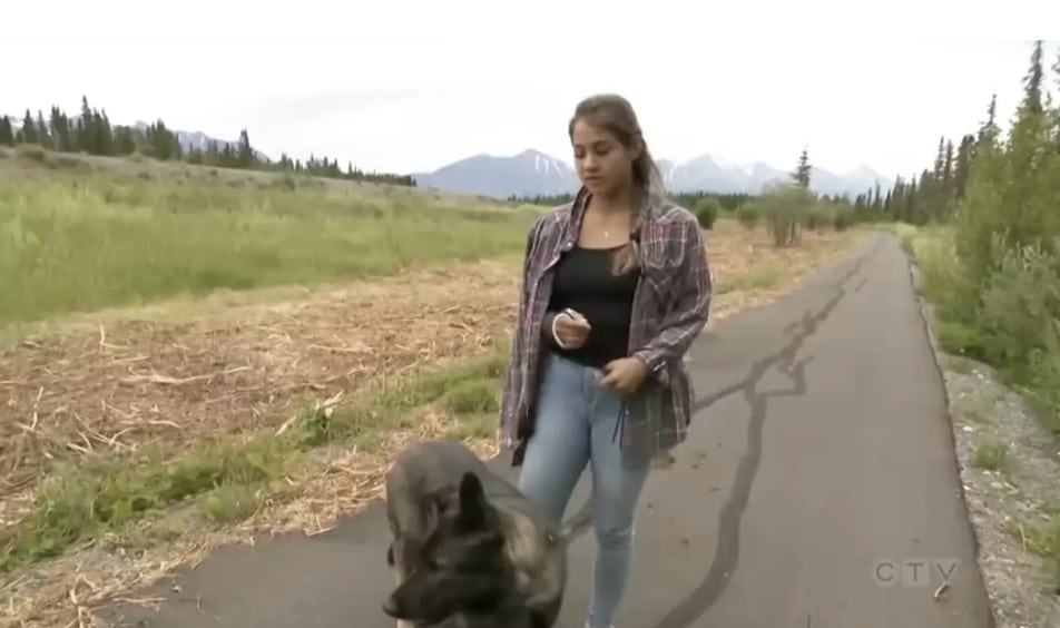Mulher explica como um acessório de cabelo de $ 3 salvou sua vida enquanto sua cabeça estava na boca de um urso-pardo Vanessa revisitou o local do ataque para uma entrevista televisionada (CTV News)