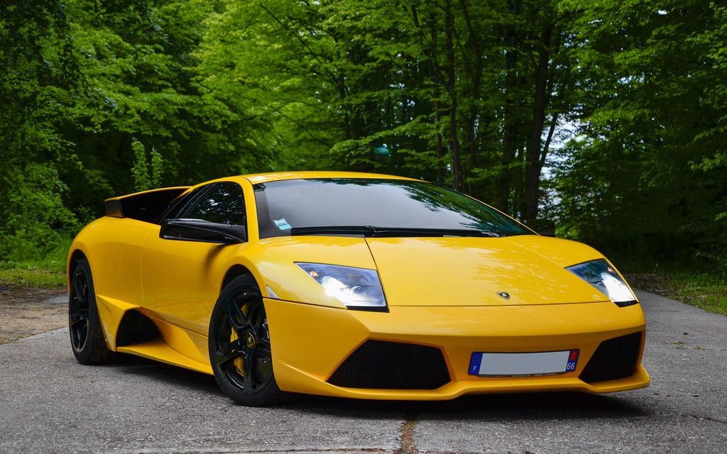 Murciélago visto de frente