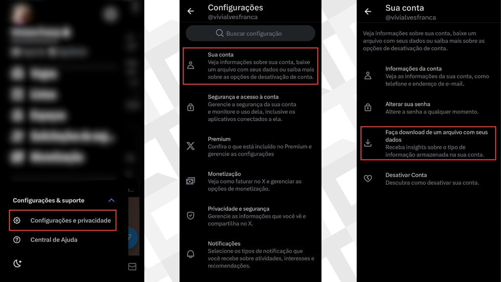 Captura dos passos para baixar o arquivo de dados do X