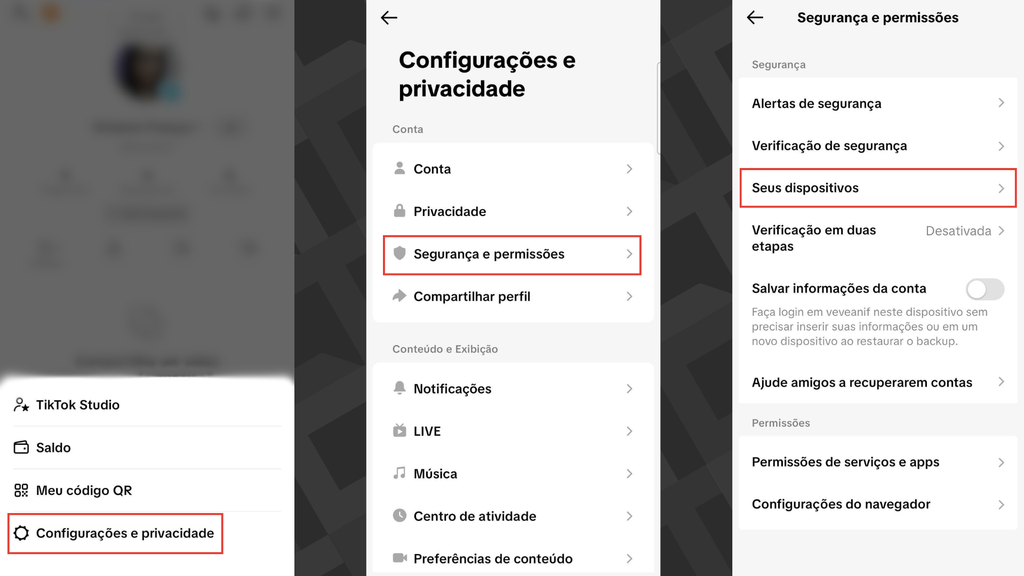 Captura com histórico de logins do TikTok