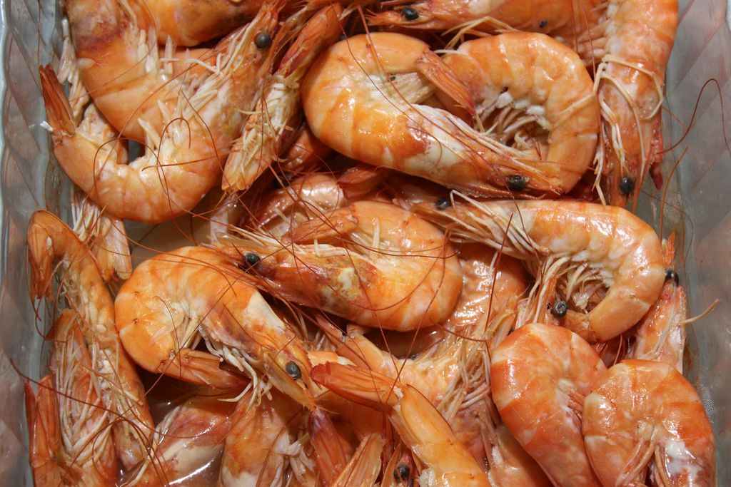Camarões