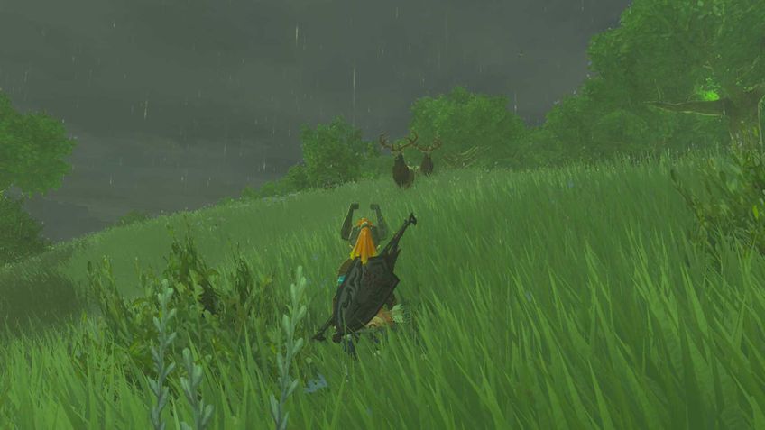 The Legend of Zelda: Tears of the Kingdom - Edição Nintendo Switch 2