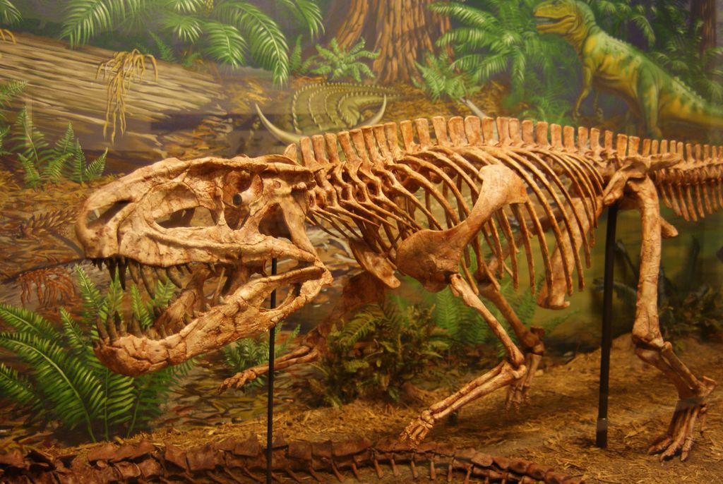 Fóssil de um Postosuchus