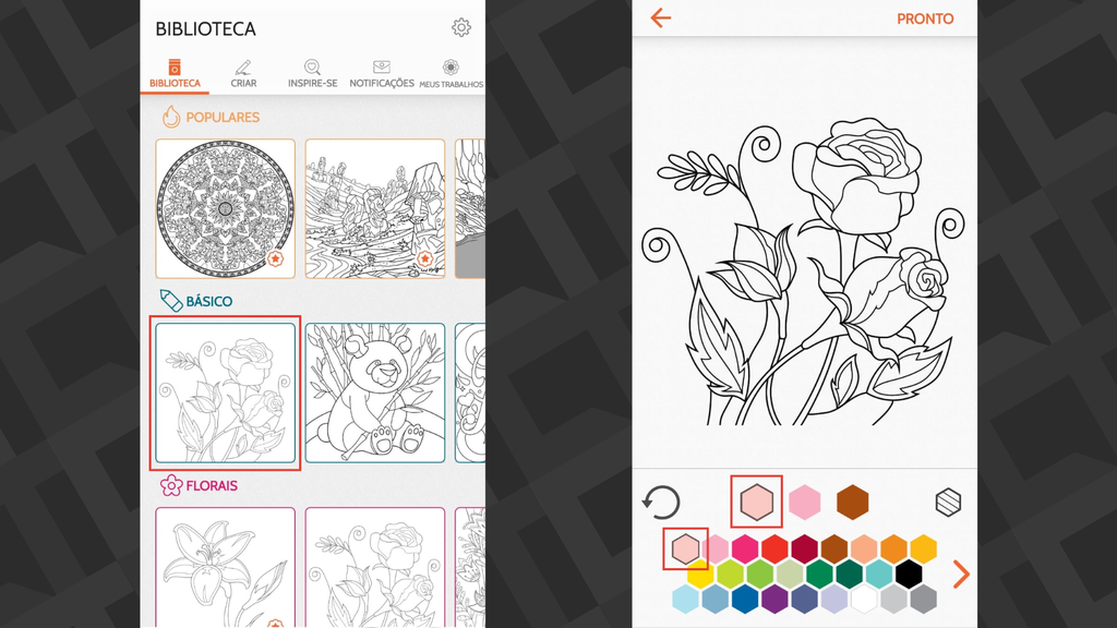 Passos para usar o app Colorfy