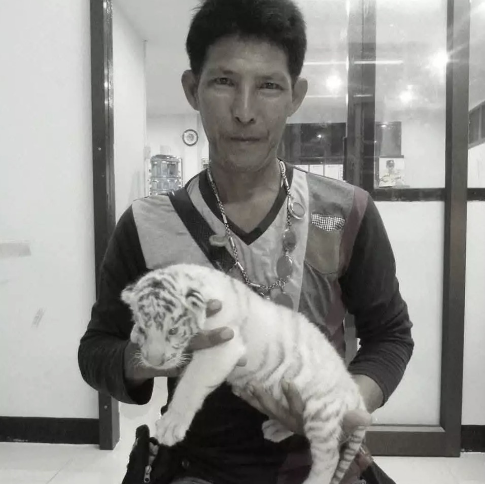 Jian trabalhou com animais por 30 anos (Viral Press)