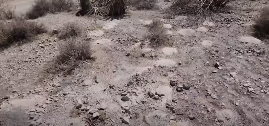 Mais de 100 montes de restos humanos são encontrados no deserto de Nevada enquanto investigação federal é iniciada O Bureau of Land Management está trabalhando com o Departamento de Polícia Metropolitana de Las Vegas na investigação (8 News Now — Las Vegas)