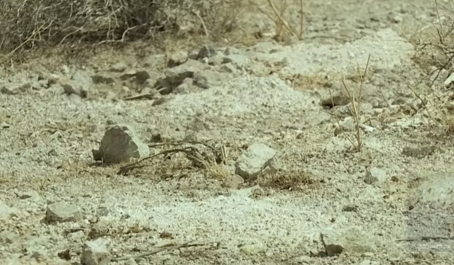 Mais de 100 montes de restos humanos são encontrados no deserto de Nevada enquanto investigação federal é iniciada Os restos cremados estavam em pilhas aparentemente organizadas apesar de semanas expostos ao clima (8 News Now — Las Vegas)