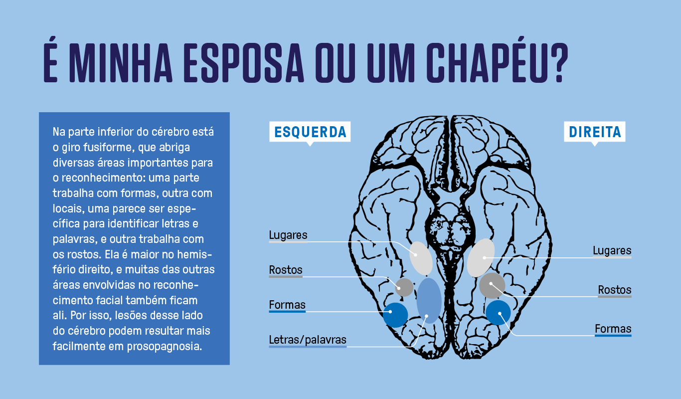 Infográfico simples, em fundo azul claro, de um cérebro e a localização de algumas áreas de memória.