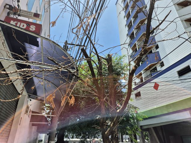 Samsung Galaxy S24 - Foto da câmera ultrawide