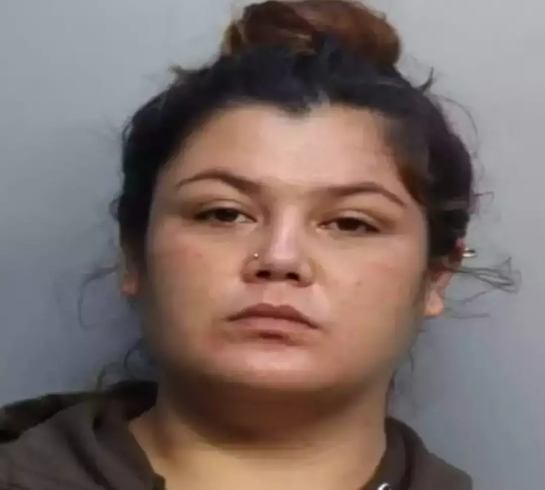 Simulação chocante revela como dois detentos em celas separadas tiveram um bebê sem jamais se encontrarem Daisy Link ficou grávida enquanto estava presa no Miami-Dade Corrections