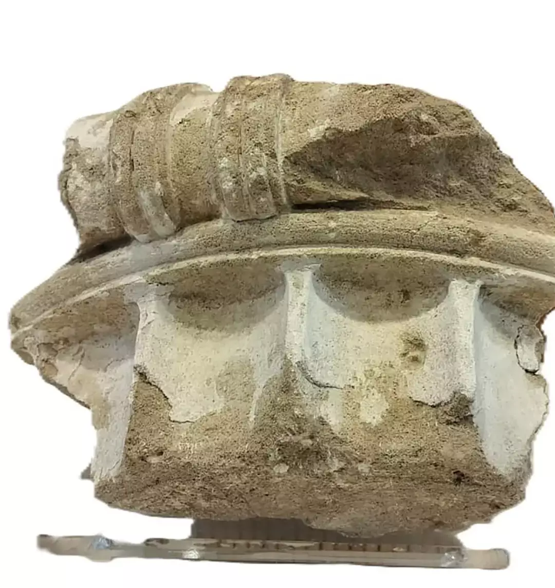 Turista que roubou artefato grego de 2.400 anos o devolve 50 anos depois por um motivo específico O artefato finalmente foi devolvido (Ministério da Cultura da Grécia)