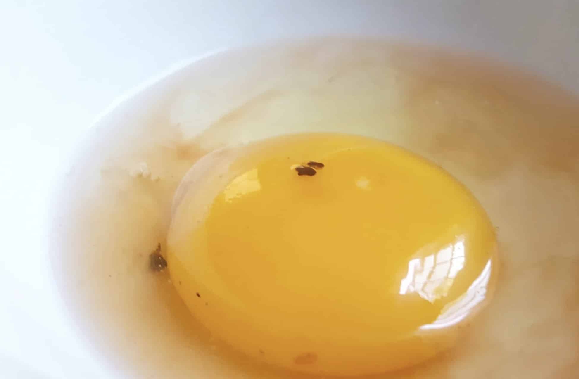 O que significa aquela mancha vermelho escura que às vezes tem na gema do ovo?