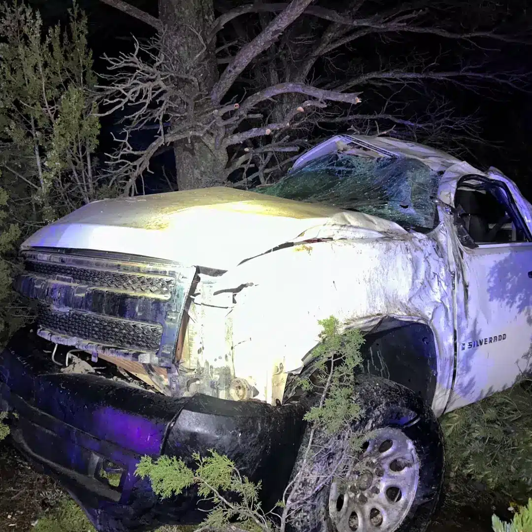 Polícia emite alerta após adolescente de 13 anos embriagada bater carro a 160 km/h com criança de 11 anos no banco do passageiro O veículo colidiu com uma árvore (AZDPS Highway Patrol/Facebook)