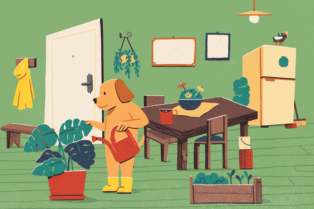 Ilustração cômica, em fundo verde, de um cachorro, de pelo marrom, usando botas amarelas e regando uma planta numa sala limpa e bem decorada.