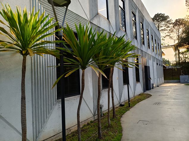 Câmera traseira - POCO M7 Pro