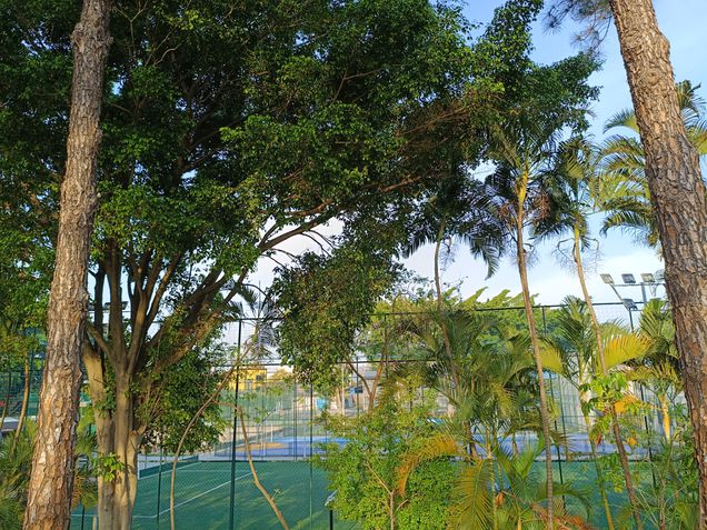 Câmera traseira - POCO M7 Pro