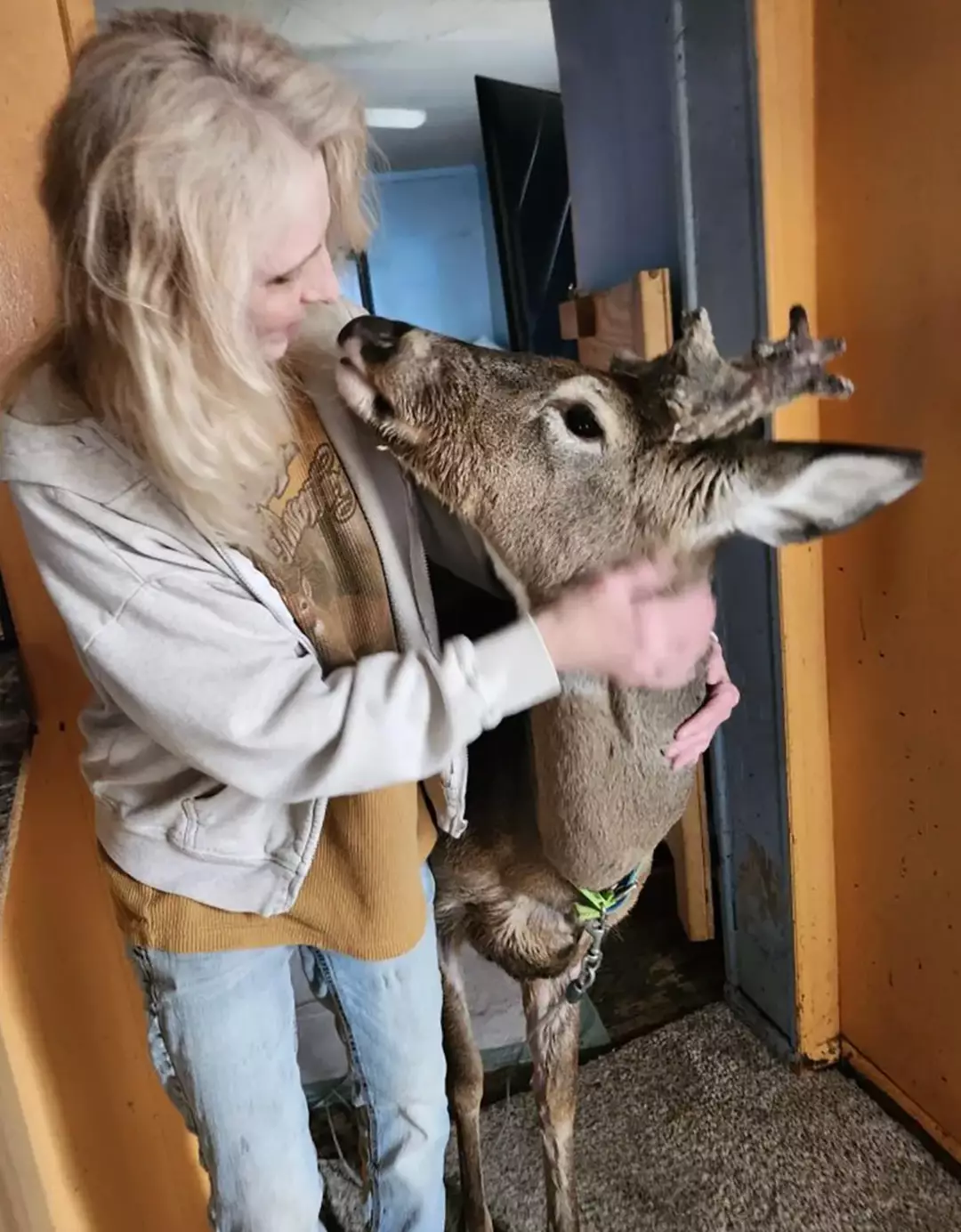 A família de Proger disse que Wheezer não teve participação no ataque (Jodi Proger/Facebook)