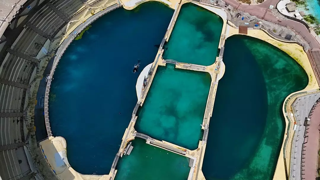 As instalações na França não atendem aos padrões de bem-estar animal