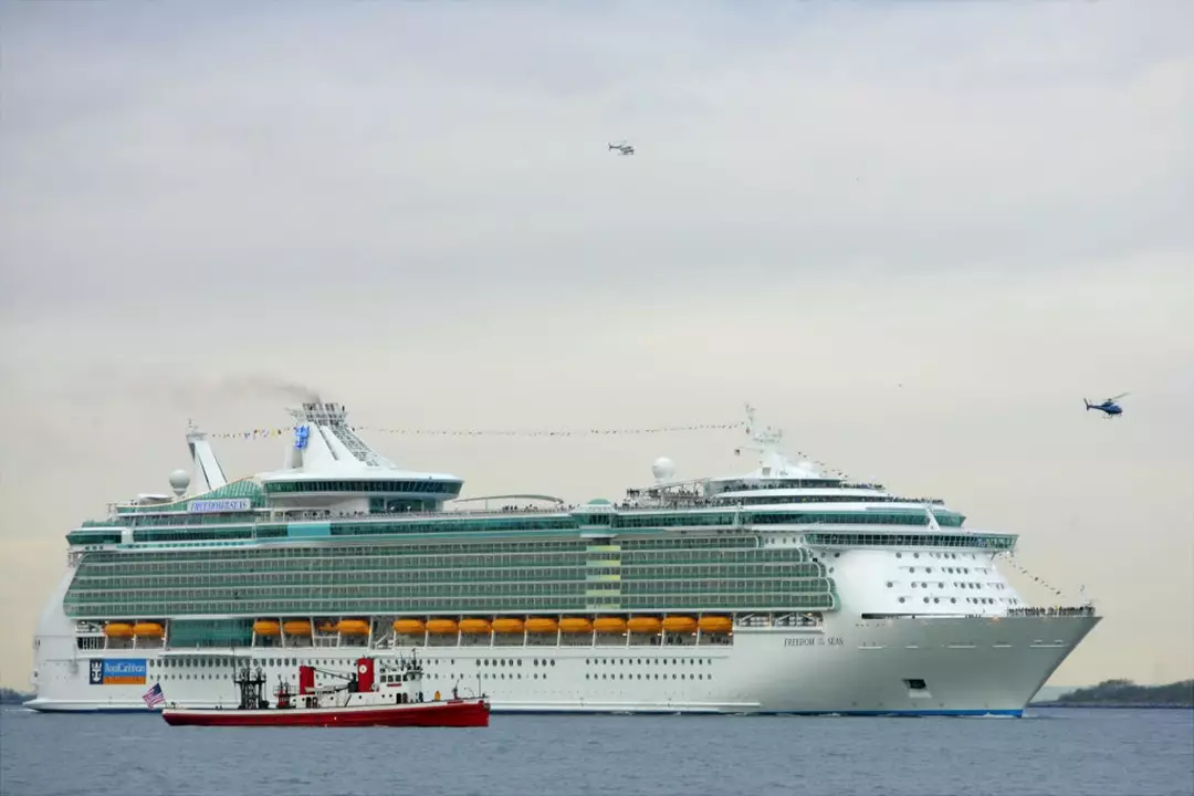 Freedom of the Seas 