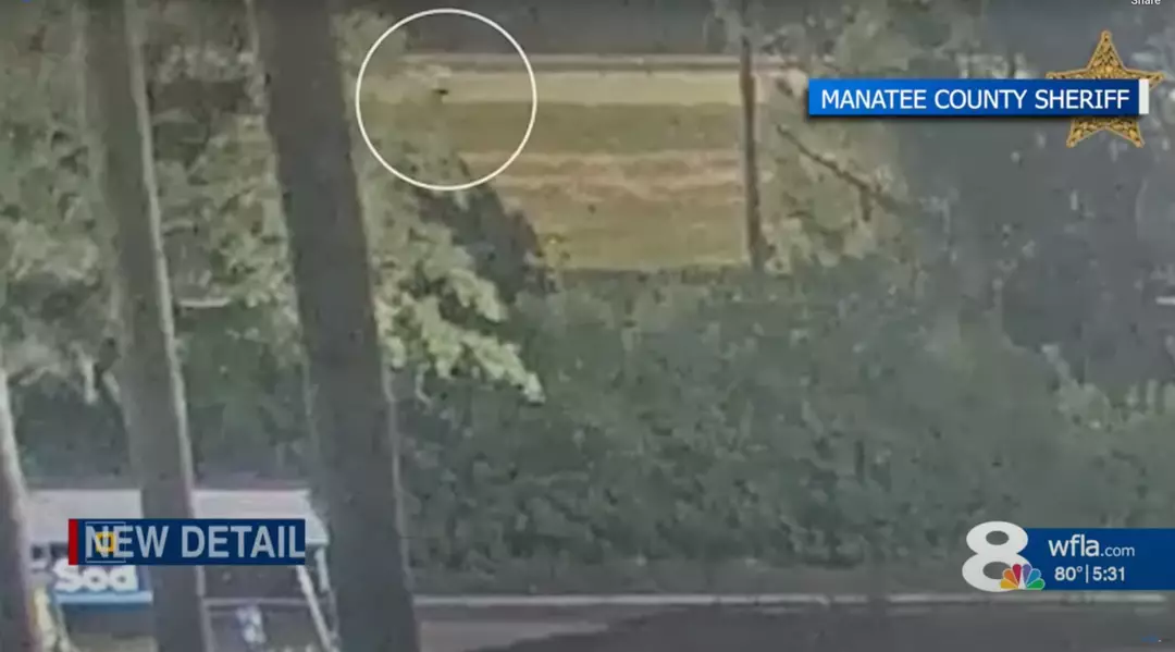 Imagens de câmeras de segurança mostraram que Giovanni não estava sendo perseguido (WFLA)