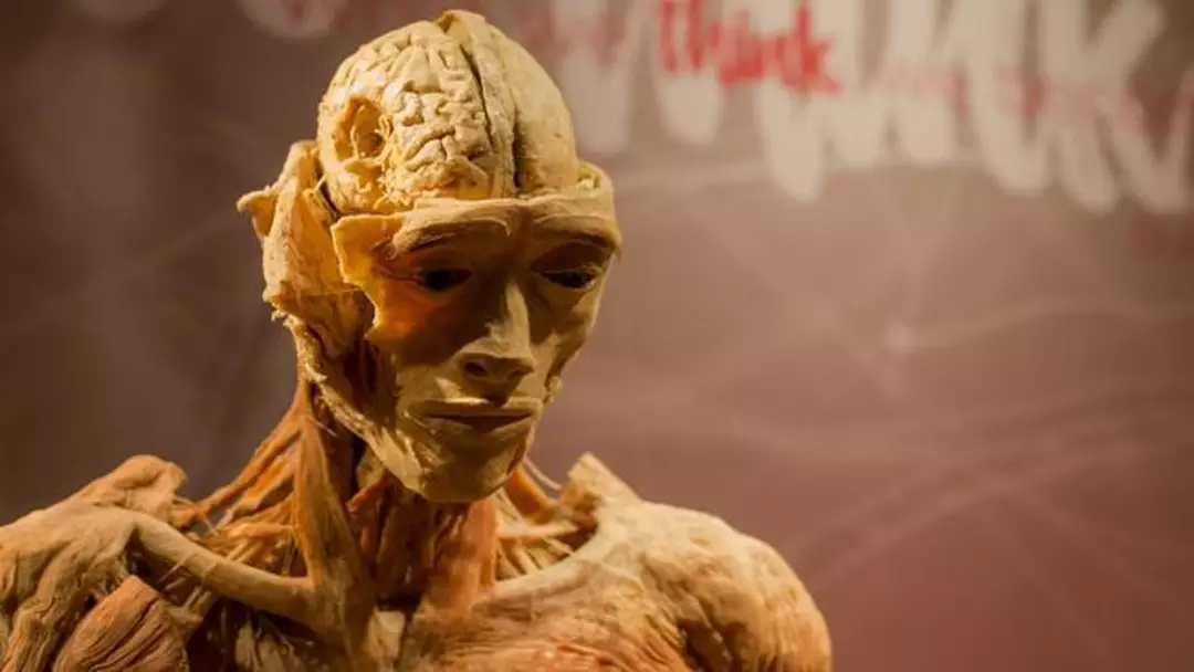 Kim diz que é o filho dela (Change.org)