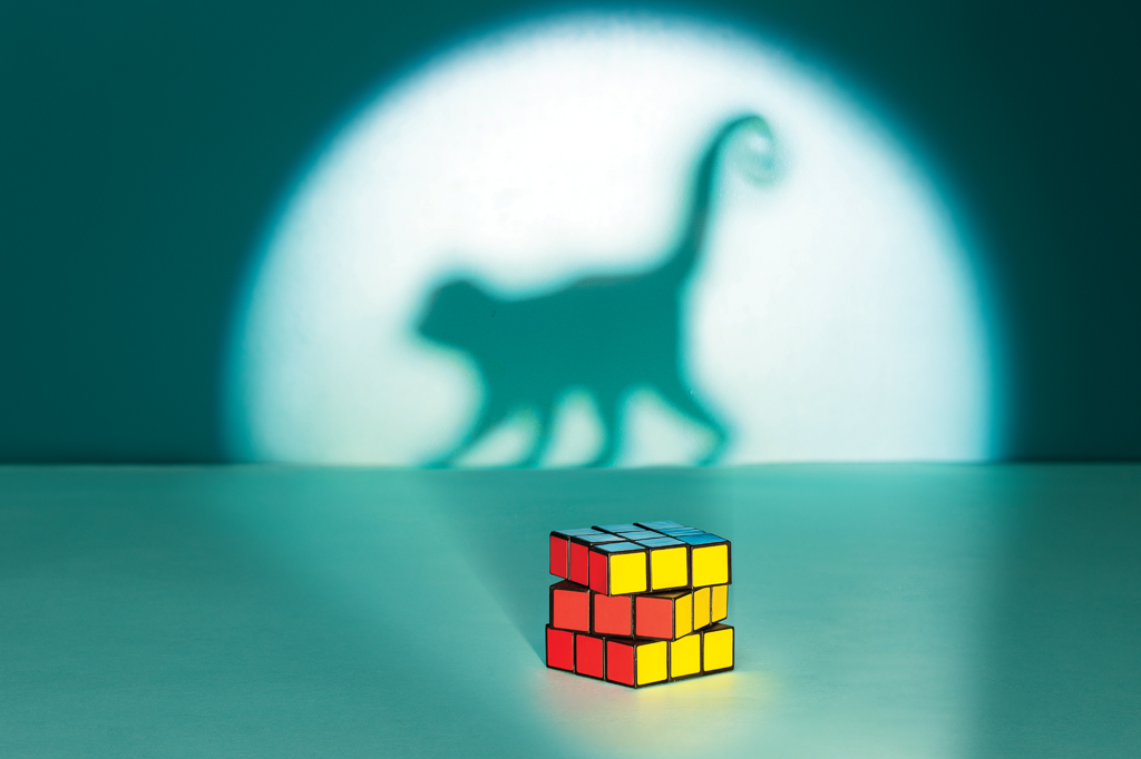 Imagem, de tom esverdeado, projetando a sombra de um macaco na parede. Em primeiro plano, vê-se, um cubo mágico torcido.