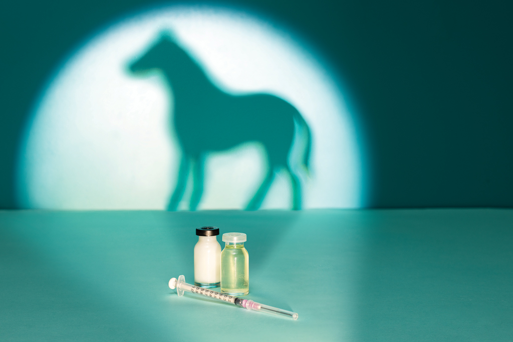 Imagem, de tom esverdeado, projetando a sombra de um cavalo na parede. Em primeiro plano, vê-se, duas ampolas de vidro e uma seringa.