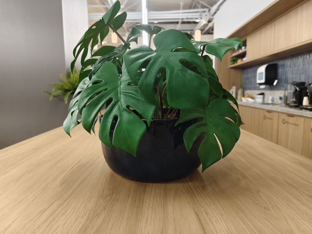 Jovi V50 - Câmera principal