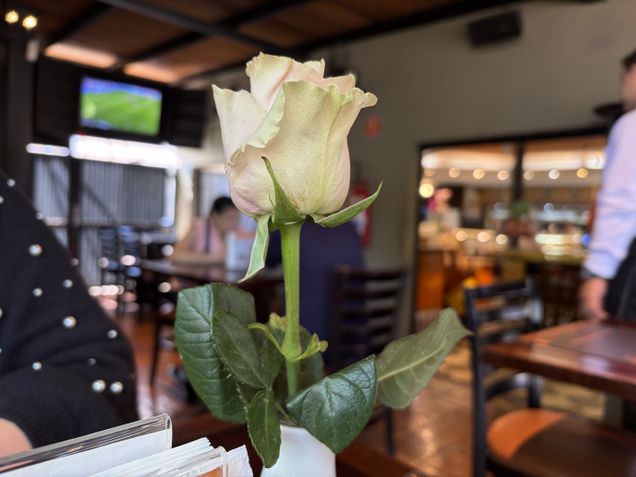 iPhone Air - Câmera traseira