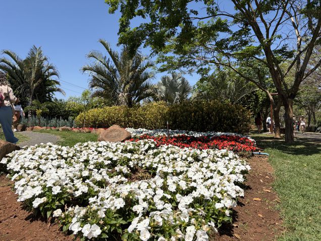 iPhone Air - Câmera traseira