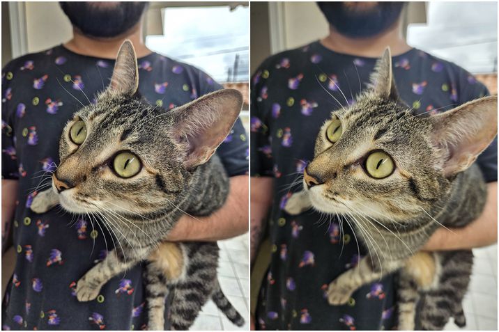 Galaxy S24 x Galaxy S23: câmera principal