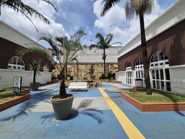 Galaxy S24 Plus - Câmera ultrawide