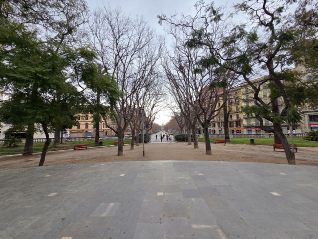 Galaxy S25 - Câmera ultrawide