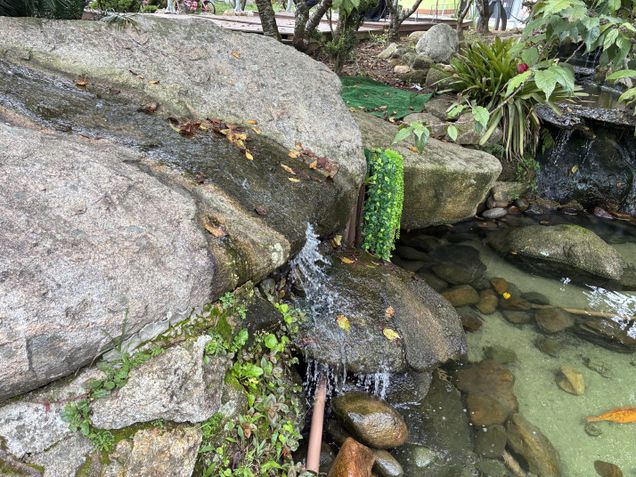 iPhone 16e - Câmera traseira