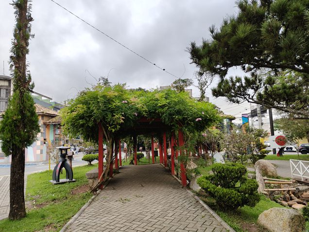 Realme 14 Pro Plus - Câmera principal