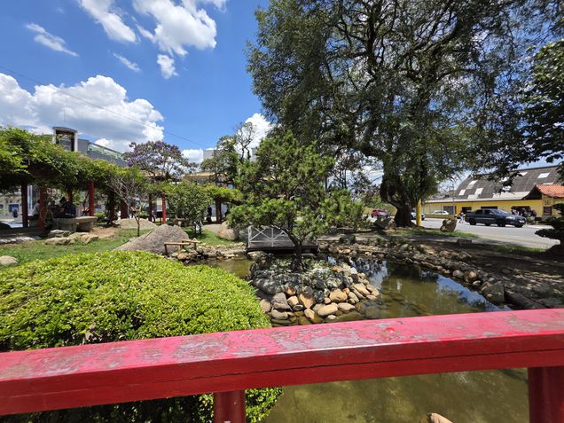 Câmera ultrawide - Galaxy S25 Ultra