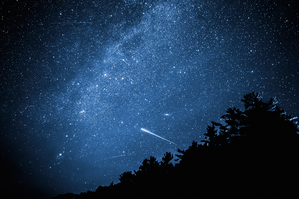 Chuva de estrelas cadentes. Há diversas estrelas no céu e uma árvore.