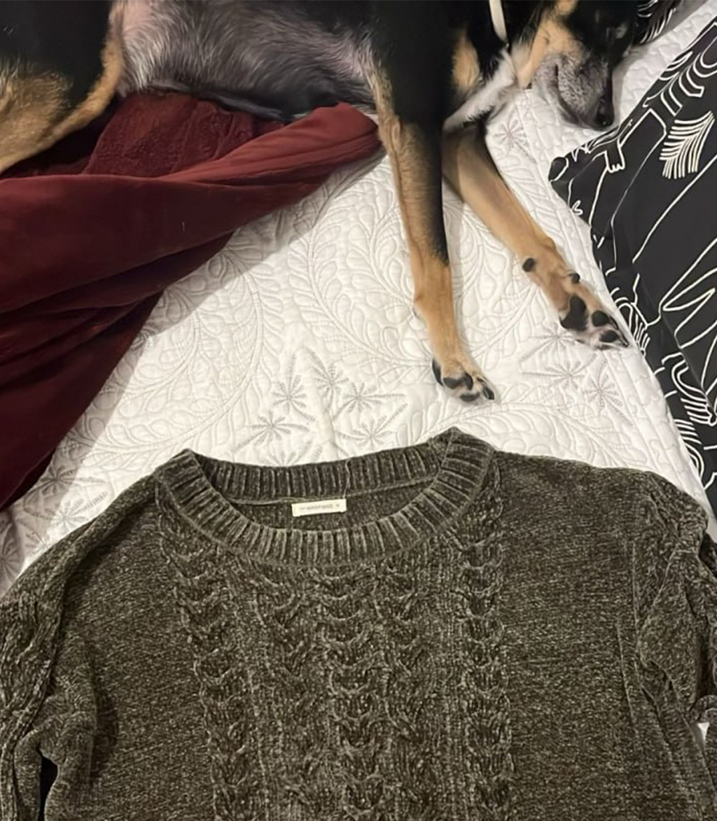 Fotografia de uma blusa de lã ao lado do cachorro deitado chamado Deco.