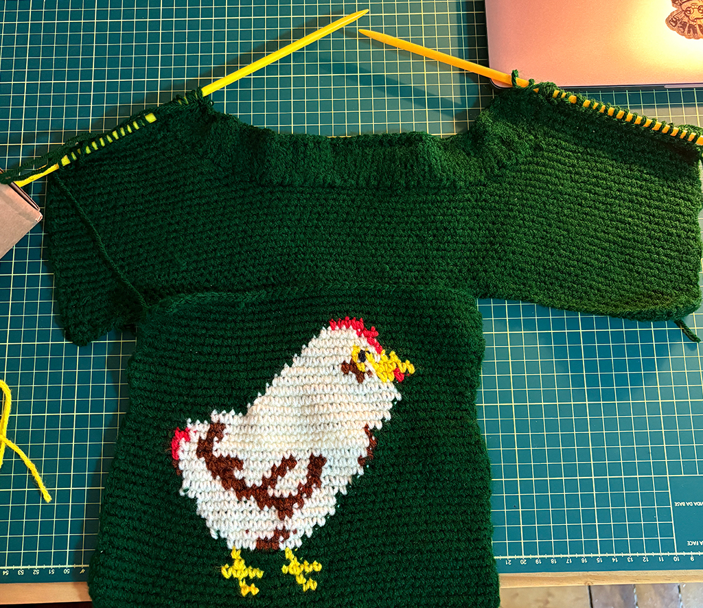 Fotografia da peça do crochê do desenho da galinha.