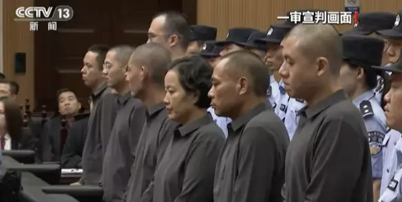 O grupo estava envolvido em fraudes de telecomunicações, cassinos ilegais, tráfico de drogas e prostituição (CCTV).