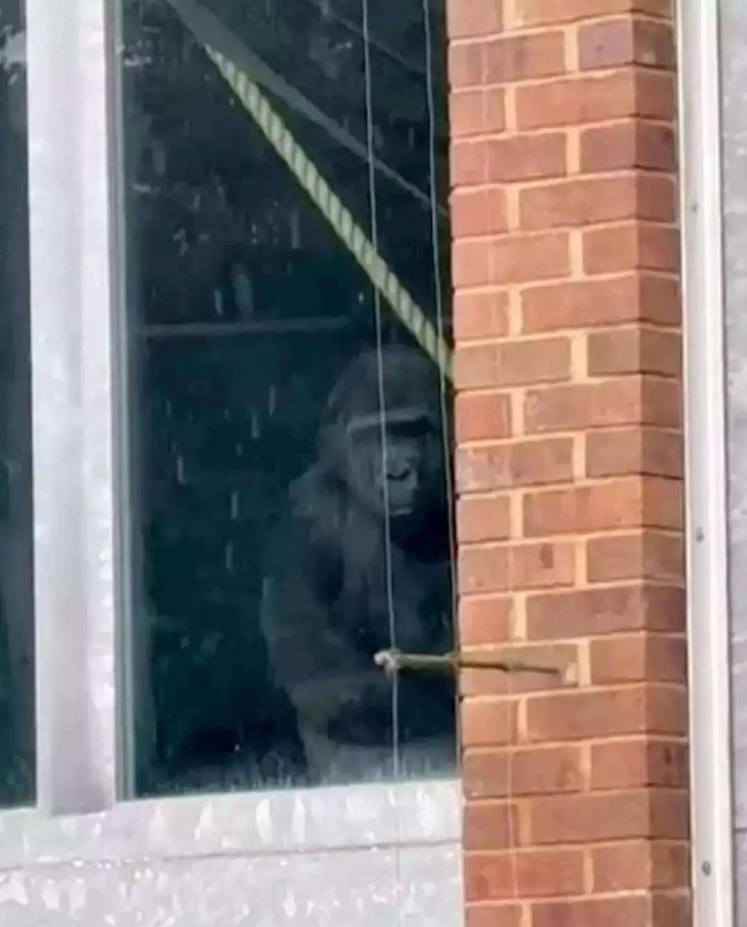 Houve uma atualização (SWNS)