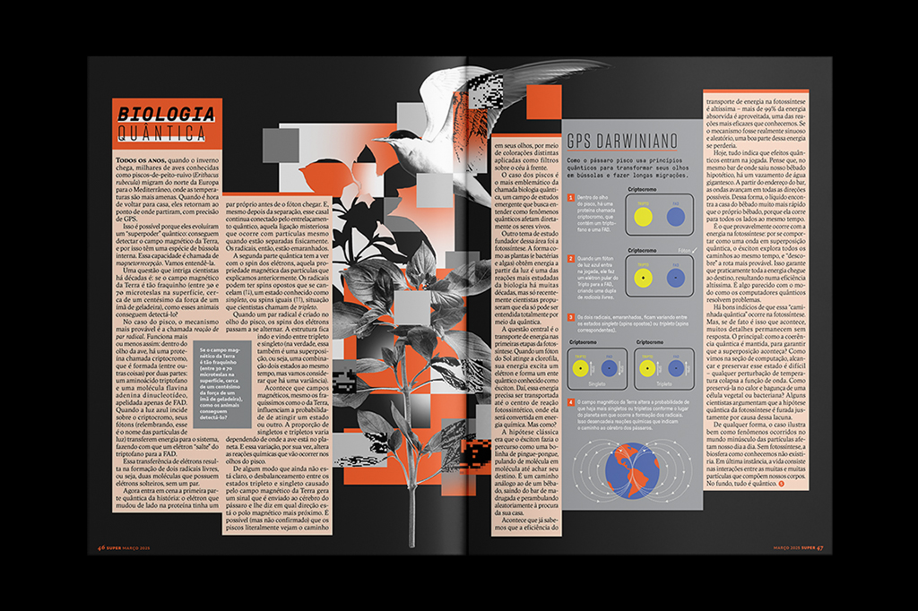 Imagem da matéria Física Quântica (sem picaretagem) da edição 473.