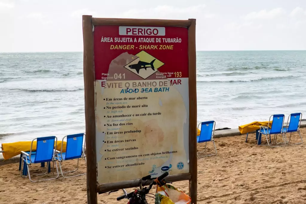 Um sinal de alerta sobre tubarões em uma praia no Brasil