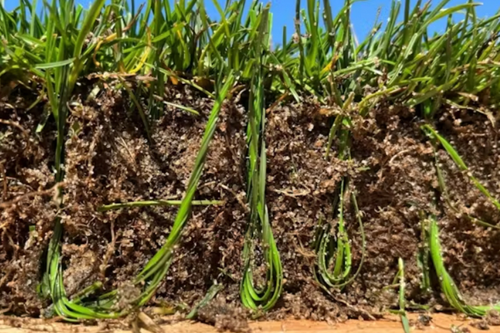 Fotografia das fibras de plástico na grama.
